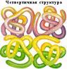 Четвертичная структура